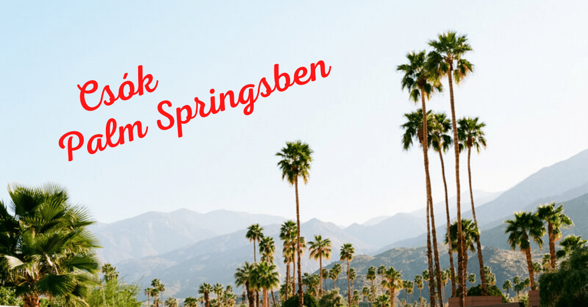 Catherine Rider: Csók Palm Springsben